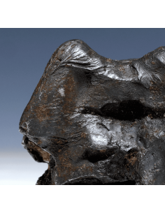 Imilac – Oriented Pallasite with Flow Lines (882.60 g) 2