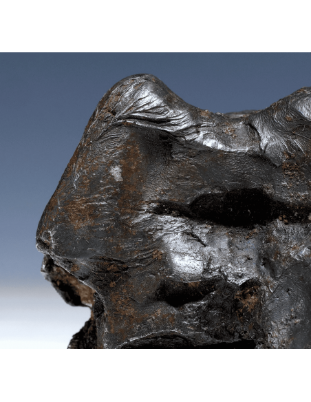 Imilac – Oriented Pallasite with Flow Lines (882.60 g)