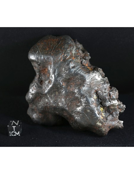 Imilac – Oriented Pallasite with Flow Lines (882.60 g)