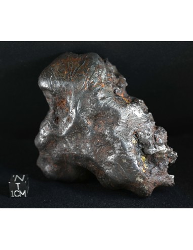 Imilac – Oriented Pallasite with Flow Lines (882.60 g)