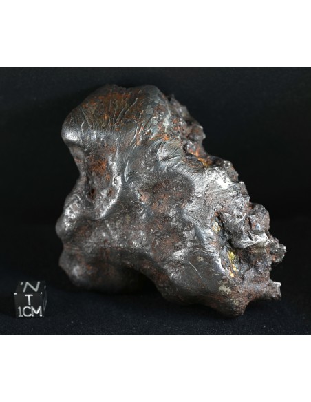 Imilac – Oriented Pallasite with Flow Lines (882.60 g)