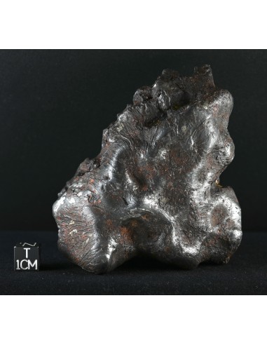 Imilac – Oriented Pallasite with Flow Lines (882.60 g)