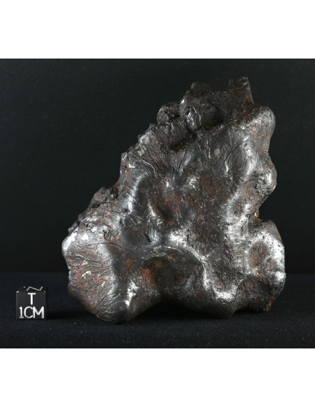 Imilac – Oriented Pallasite with Flow Lines (882.60 g)