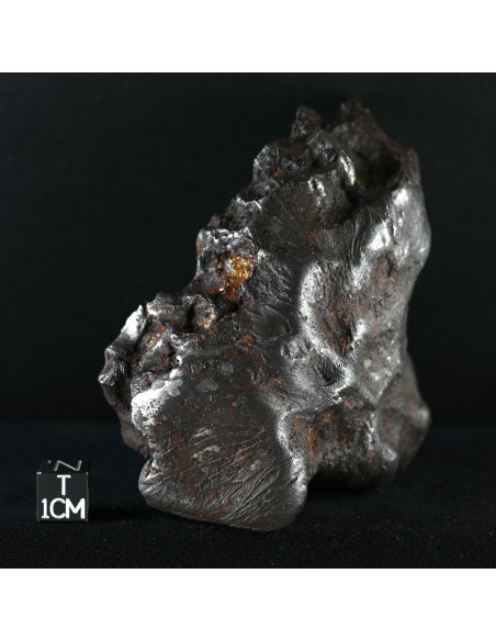 Imilac – Oriented Pallasite with Flow Lines (882.60 g)