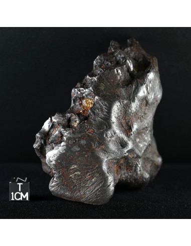 Imilac – Oriented Pallasite with Flow Lines (882.60 g)