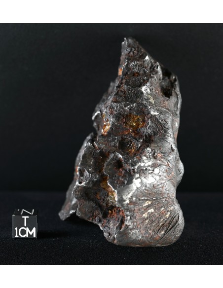 Imilac – Oriented Pallasite with Flow Lines (882.60 g)