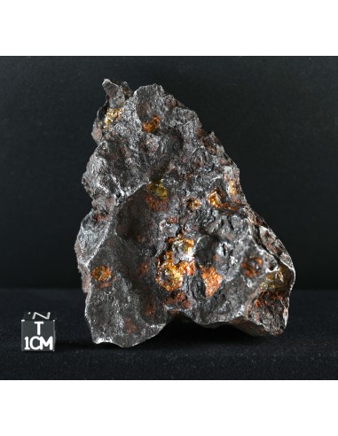 Imilac – Oriented Pallasite with Flow Lines (882.60 g)