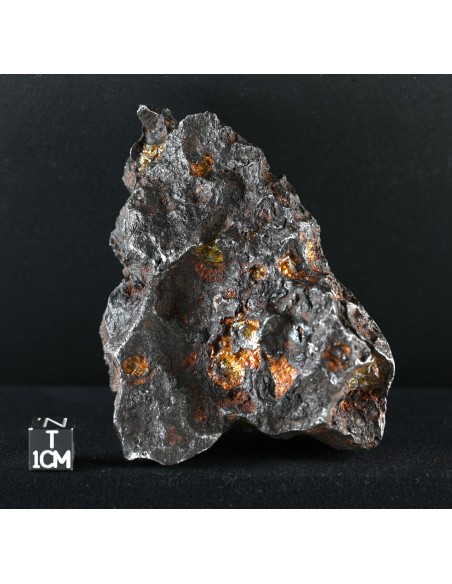 Imilac – Oriented Pallasite with Flow Lines (882.60 g)