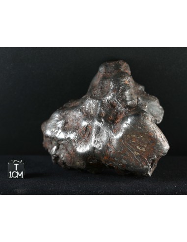 Imilac – Oriented Pallasite with Flow Lines (882.60 g)