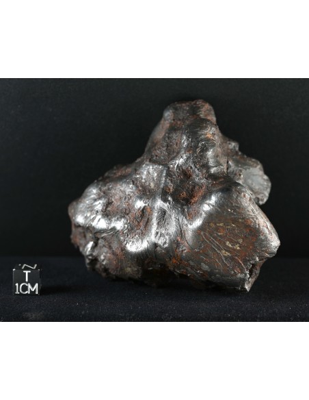 Imilac – Oriented Pallasite with Flow Lines (882.60 g)