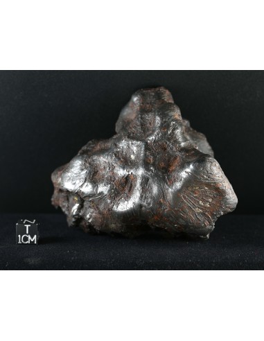 Imilac – Oriented Pallasite with Flow Lines (882.60 g)