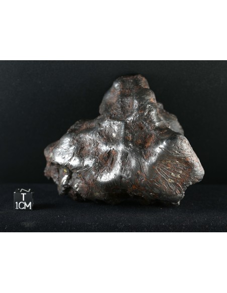 Imilac – Oriented Pallasite with Flow Lines (882.60 g)