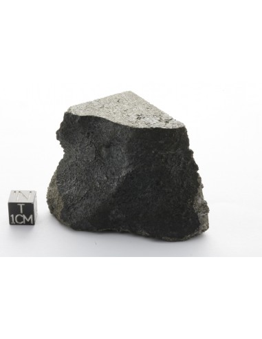 Zagami – Martian Meteorite End Cut (150.90 g)