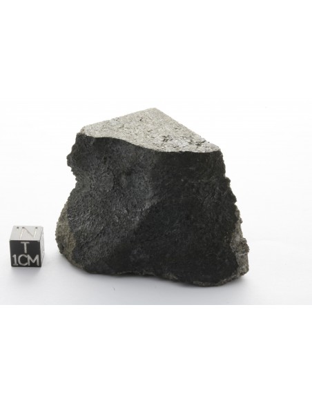 Zagami – Martian Meteorite End Cut (150.90 g)