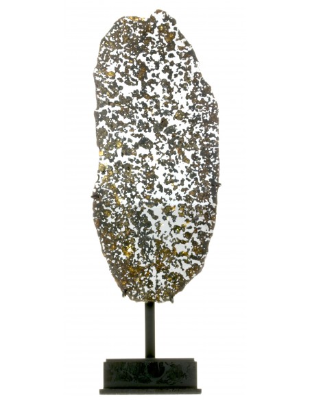 Lov 263 Pallasite Slice – Ungrouped Pallasite with Olivine & Pyroxene