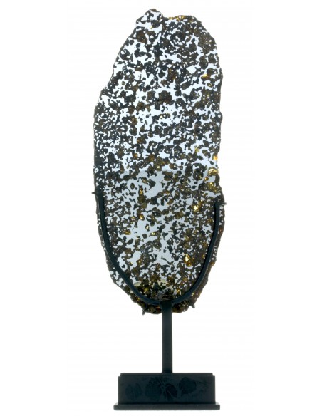 Lov 263 Pallasite Slice – Ungrouped Pallasite with Olivine & Pyroxene