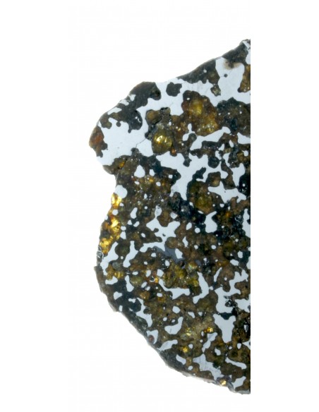 Lov 263 Pallasite Slice – Ungrouped Pallasite with Olivine & Pyroxene