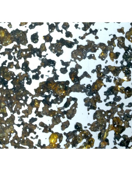 Lov 263 Pallasite Slice – Ungrouped Pallasite with Olivine & Pyroxene