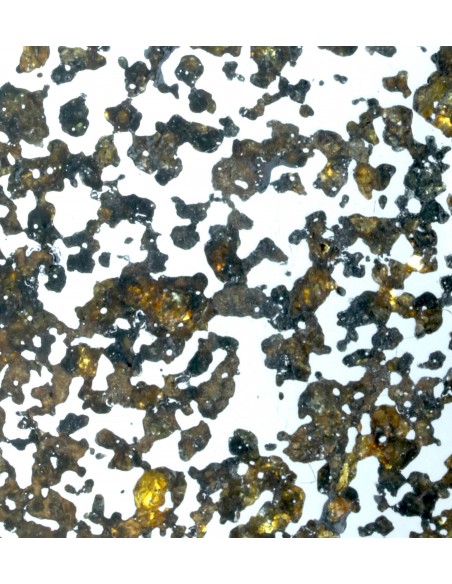 Lov 263 Pallasite Slice – Ungrouped Pallasite with Olivine & Pyroxene