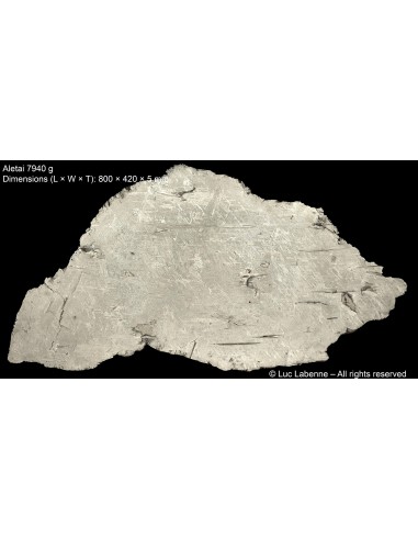 Aletai – Monumental Iron Meteorite Slice, 7.94 kg (IIIE-an)