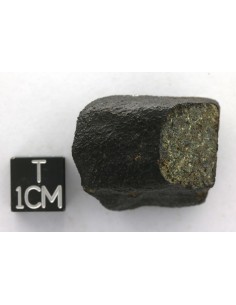 Nakhlite – Complete Martian Meteorite 25.06 g | Meteorites.tv