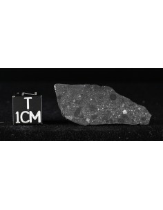 NWA 7533 Black Beauty – Complete Martian Breccia Slice 1.155 g