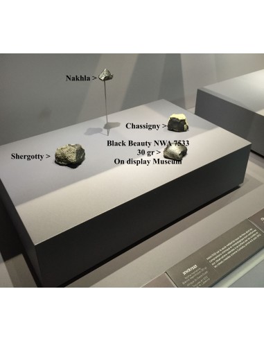 Oriented Martian Meteorite Paired with NWA 7533 – Complete 30 g