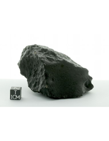 Tissint – Complete Martian Meteorite with Fusion Crust 219 g