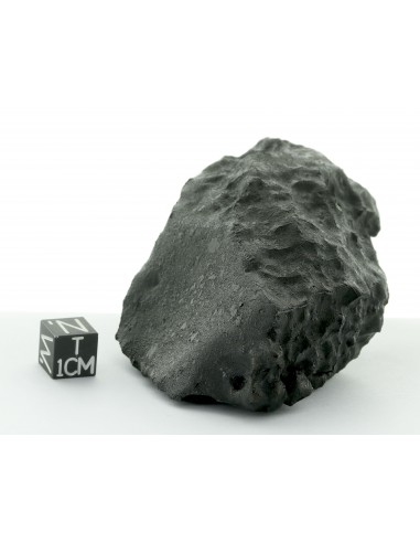 Tissint – Complete Martian Meteorite with Fusion Crust 219 g