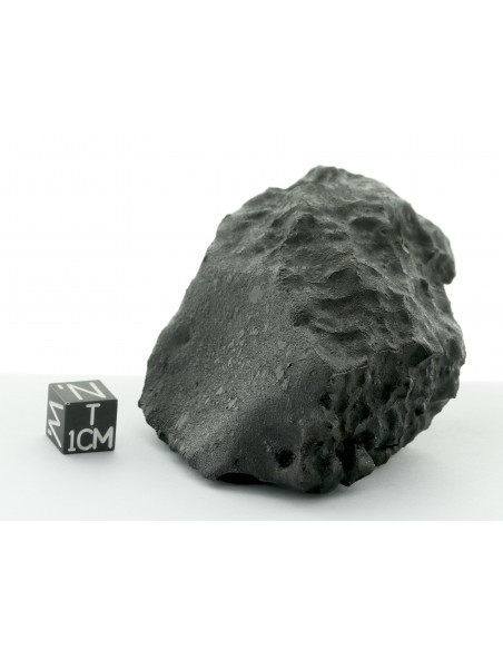 Tissint – Complete Martian Meteorite with Fusion Crust 219 g