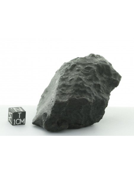 Tissint – Complete Martian Meteorite with Fusion Crust 220 g