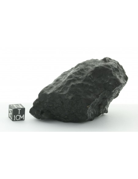 Tissint – Complete Martian Meteorite with Fusion Crust 219 g
