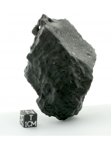 Tissint – Complete Martian Meteorite with Fusion Crust 219 g
