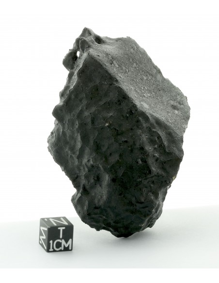 Tissint – Complete Martian Meteorite with Fusion Crust 220 g