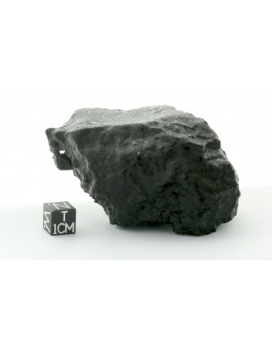 Tissint – Complete Martian Meteorite with Fusion Crust 219 g