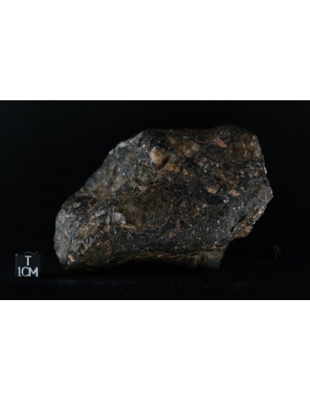 Lunar Meteorite 477 g – Complete Anorthositic Breccia with Green Crust