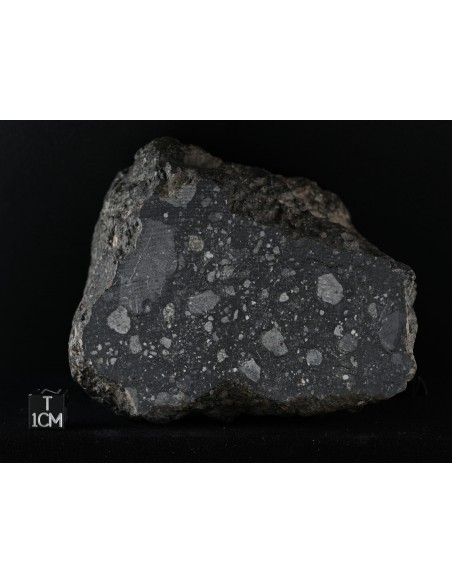 Lunar Meteorite NWA 11472 – Anorthositic Breccia End Cut 944 g