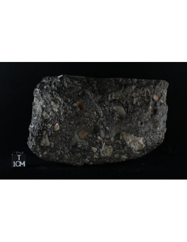 Lunar Meteorite NWA 11472 – Anorthositic Breccia End Cut 944 g