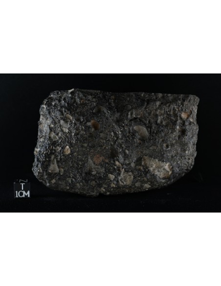 Lunar Meteorite NWA 11472 – Anorthositic Breccia End Cut 944 g