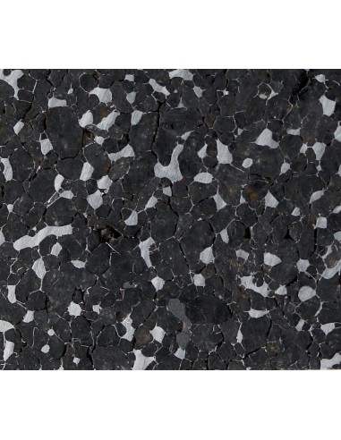 ITQIY Meteorite – Unique Ungrouped Main Mass End Cut (658 g)