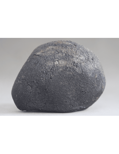 Murchison Meteorite 42.60 g – Complete CM2 Carbonaceous Chondrite | me