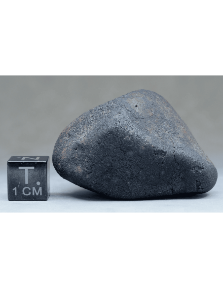 Murchison Meteorite 42.60 g – Complete CM2 Carbonaceous Chondrite | me