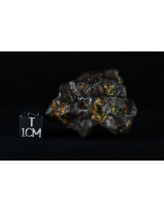Imilac Pallasite 57.60 g – Individual with Fusion Crust and Olivines |