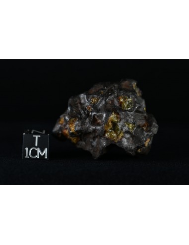Imilac Pallasite 57.60 g – Individual with Fusion Crust and Olivines |