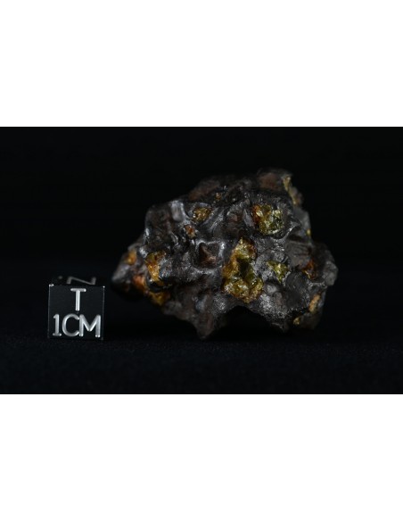 Imilac Pallasite 57.60 g – Individual with Fusion Crust and Olivines |