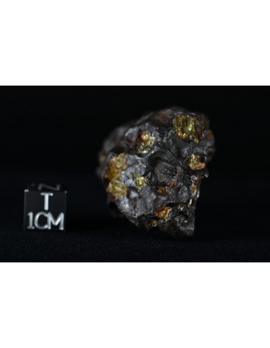Imilac Pallasite 57.60 g – Individual with Fusion Crust and Olivines |