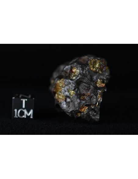 Imilac Pallasite 57.60 g – Individual with Fusion Crust and Olivines |