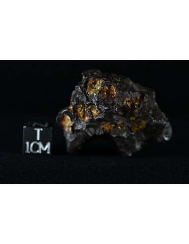 Imilac Pallasite 57.60 g – Individual with Fusion Crust and Olivines |