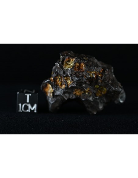Imilac Pallasite 57.60 g – Individual with Fusion Crust and Olivines |