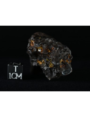 Imilac Pallasite 57.60 g – Individual with Fusion Crust and Olivines |